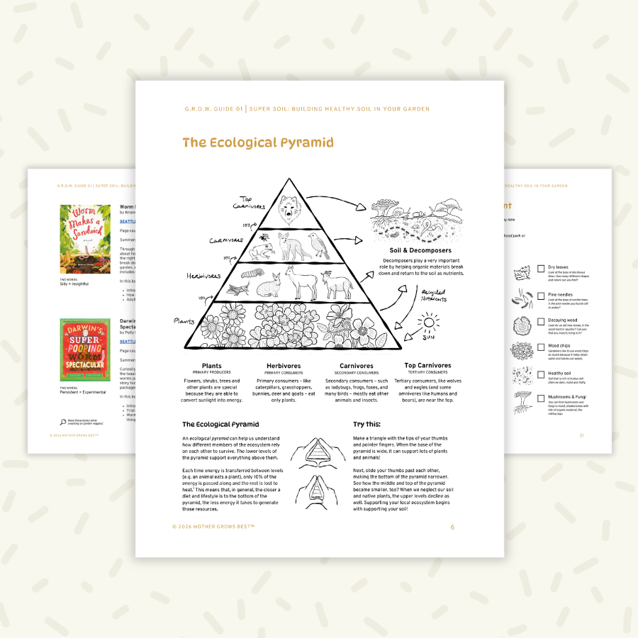 sample pages of a kid-friendly digital guide about soil