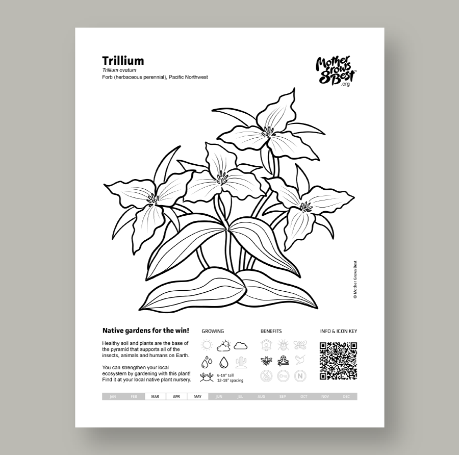 Thumbnail: Pacific Northwest Bundle + Free Seeds (Printed)