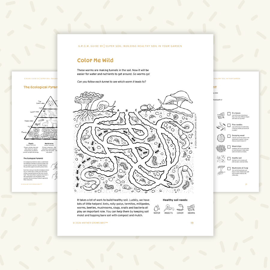 Thumbnail: sample pages of a kid-friendly digital guide about soil