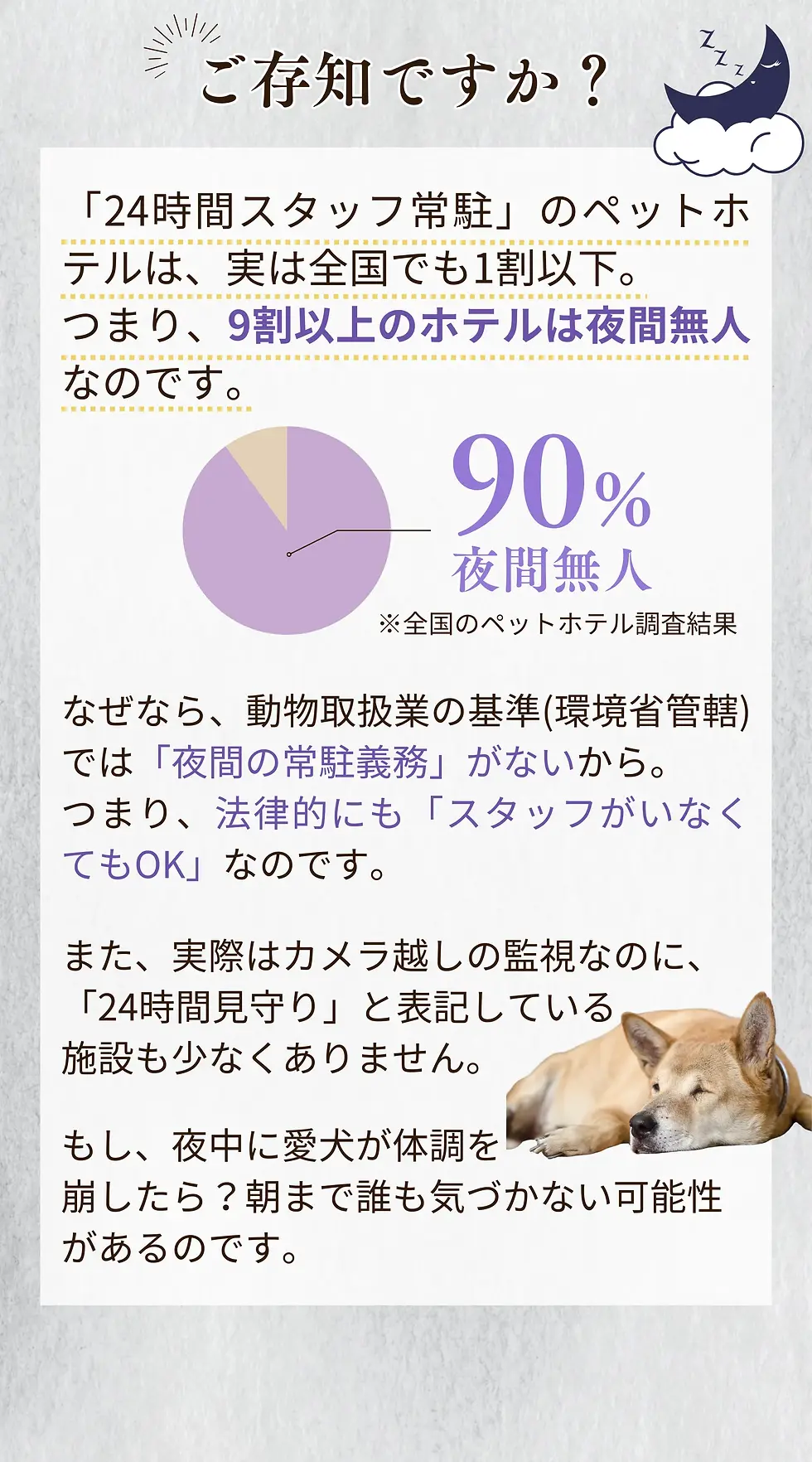 19.webp