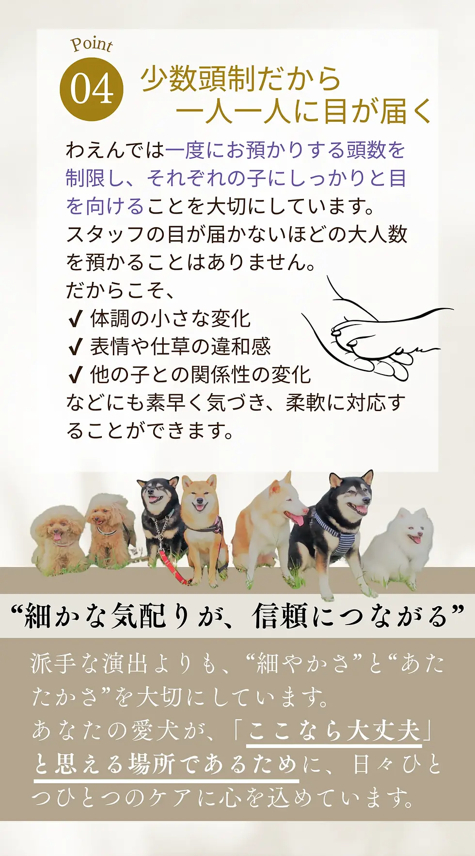 39.webp