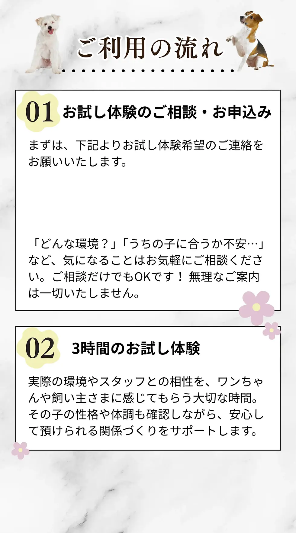 49.webp