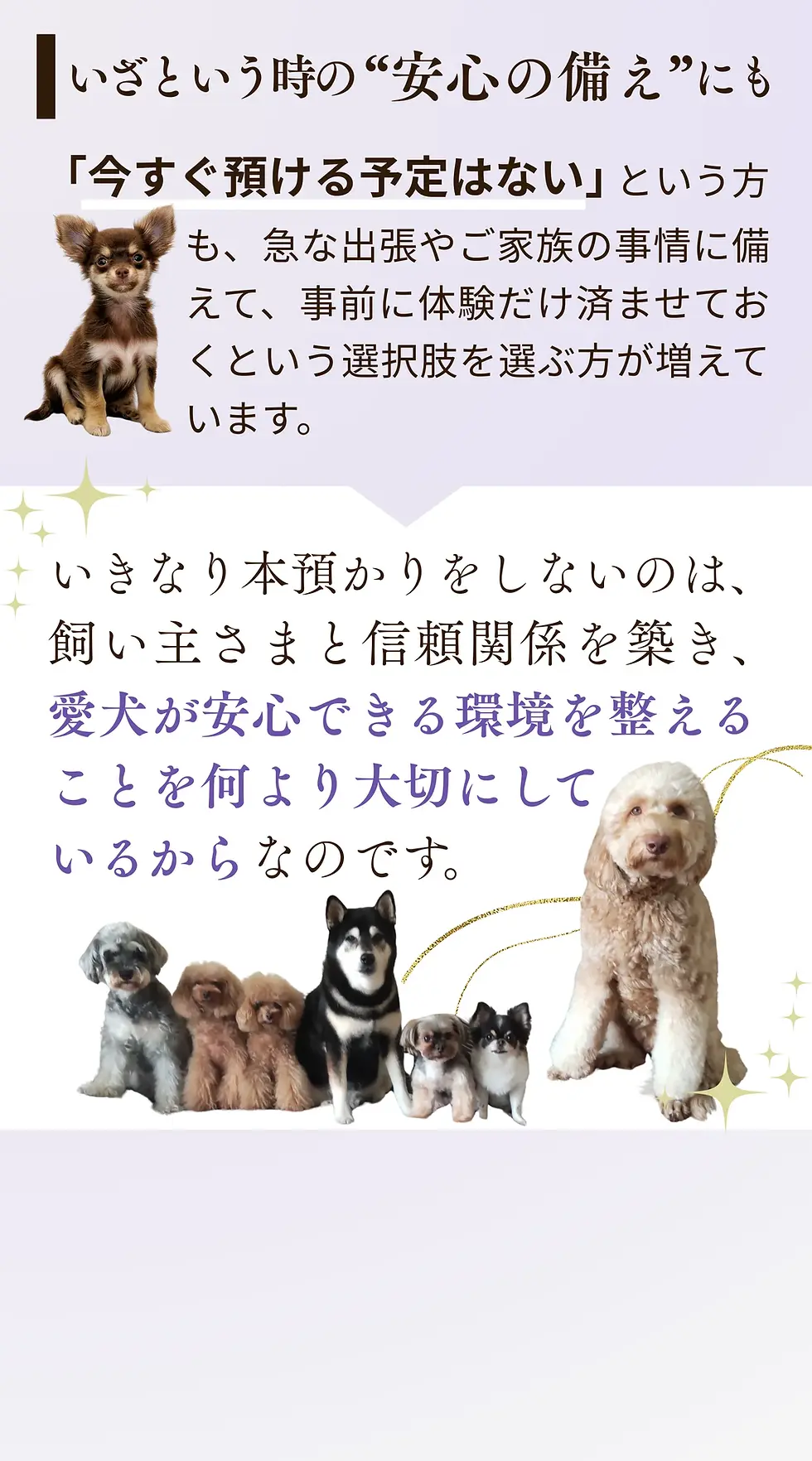 32.webp
