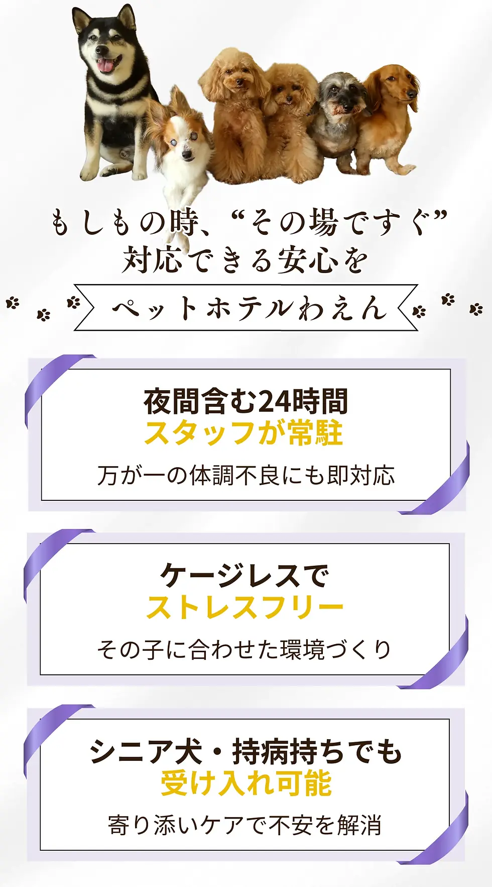14.webp