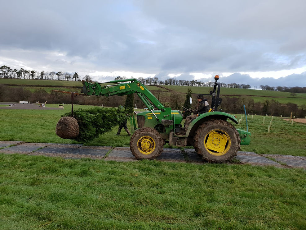 WhatsApp Image 2020-04-30 at 10.43.32.jpeg