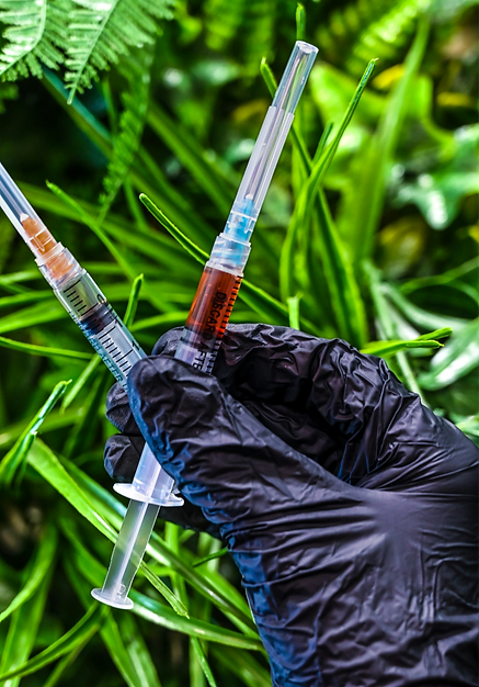 A close-up of a gloved hand holding two syringes, symbolizing health and wellness treatmen