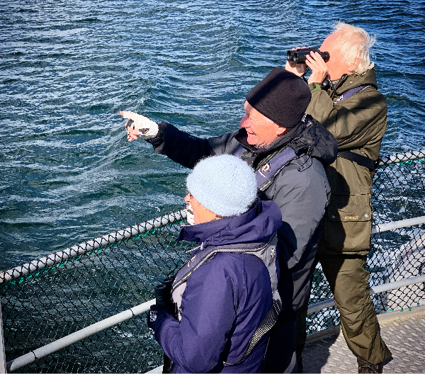 Three people looking at some wildlife in the distance from the boat.