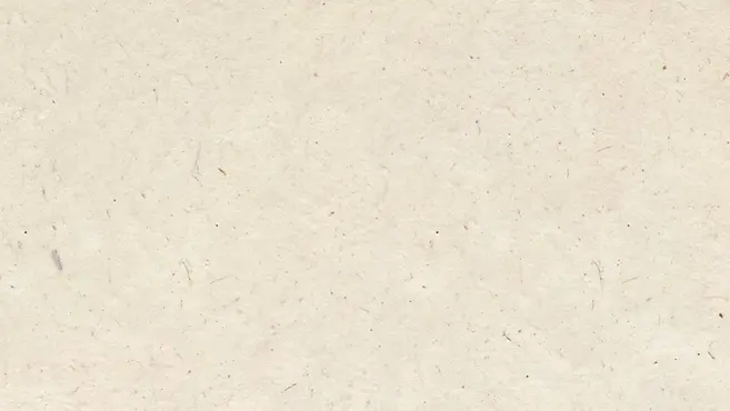 MOAHNAU - Experts Description Background.webp