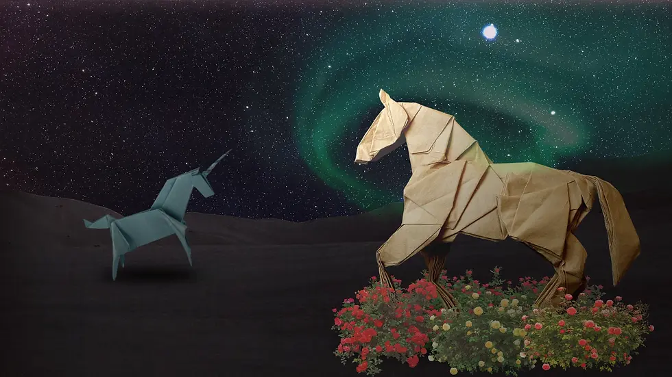 MOAHNAU - Origami Banner.webp