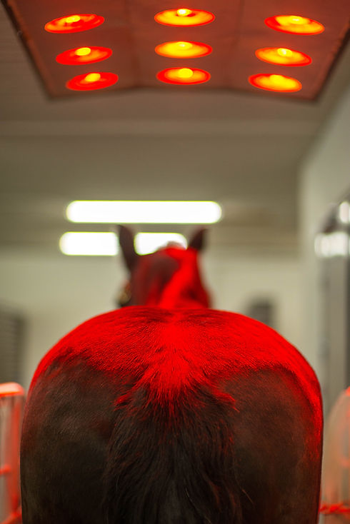 dsc_1005.jpg