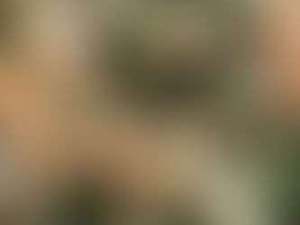 本日のお弁当メニューと副菜 2021/02/09