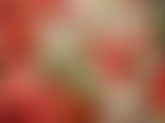 本日のお弁当メニューと副菜 2023/5/31