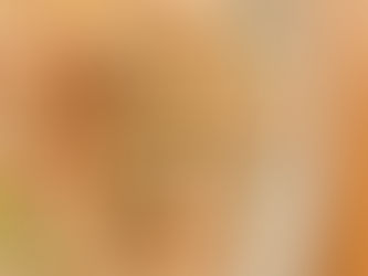 本日のお弁当メニューと副菜2024/06/14