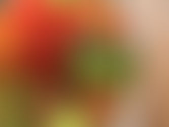 本日のお弁当メニューと副菜2024/05/10