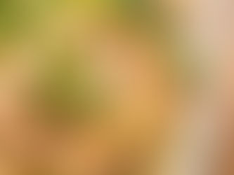 本日のお弁当メニューと副菜2024/05/24