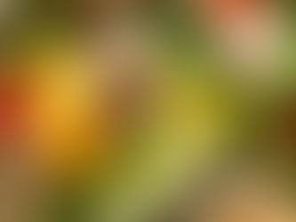 本日のお弁当メニューと副菜 2021/03/05