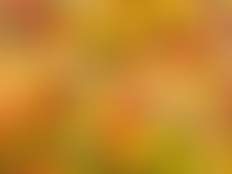 本日のお弁当メニューと副菜 2023/5/18