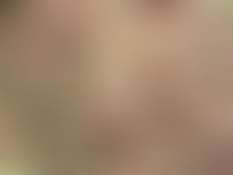 本日のメニューと副菜 2020/11/24