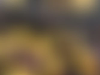 本日のお弁当メニューと副菜 2023/6/7