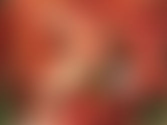 本日のメニューと副菜 2020/12/09