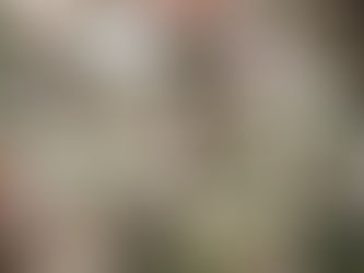 本日のメニューと副菜 2020/10/06