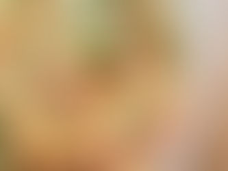 本日のお弁当メニューと副菜2024/06/07