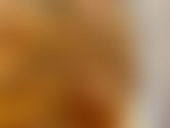 本日のお弁当メニューと副菜 2023/5/12