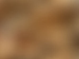 本日のお弁当メニューと副菜 2023/8/22