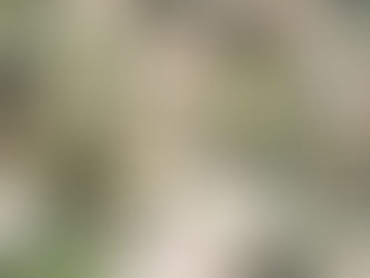 本日のお弁当メニューと副菜 2023/5/19