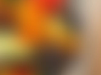 本日のお弁当メニューと副菜2024/06/12