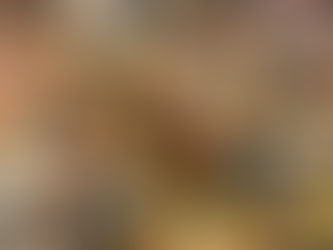 本日のお弁当メニューと副菜 2023/6/14