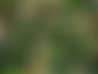 本日のメニューと副菜 2020/12/16