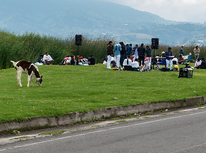 DSC02239-10.jpg