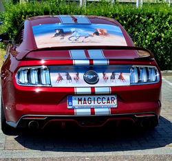 353438510_6036085123166937_6531838464650793379_n