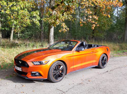 352819591_10227903663429905_897372947516780009_n