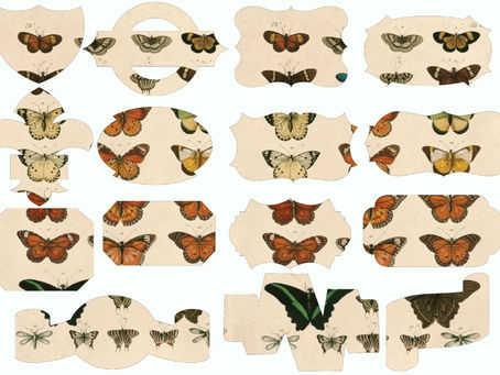 Butterfly labels