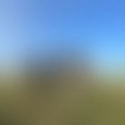 生きた根を維持し続ける