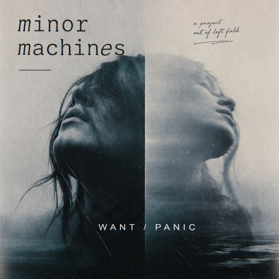 Listen to Want/Panic by Minor Machines featuring Valentina Frey