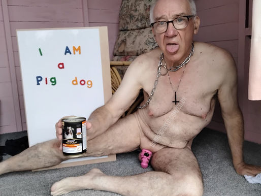 Pig-Dog Shall Eat Dog Food