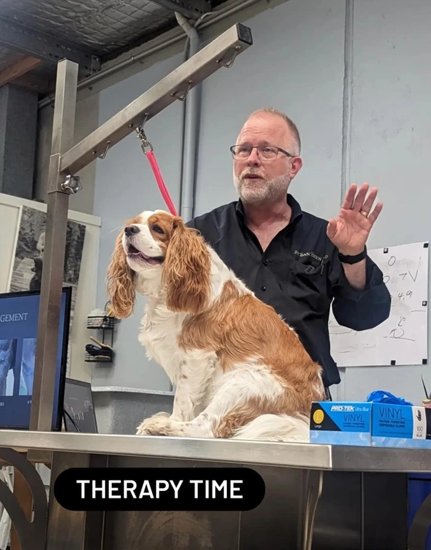 Picture of ASPCA | American Society for the Prevention of Cruelty to Animals