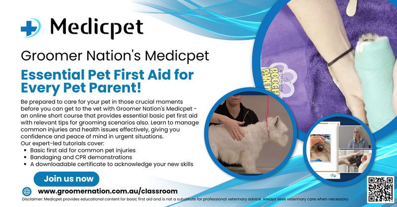 Essential Pet First Aid for Every Pet Parent!