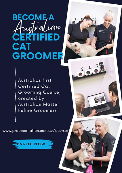 Australian Certified Cat Groomer
