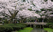 Kenroku-en Kanazawa_50.jpg