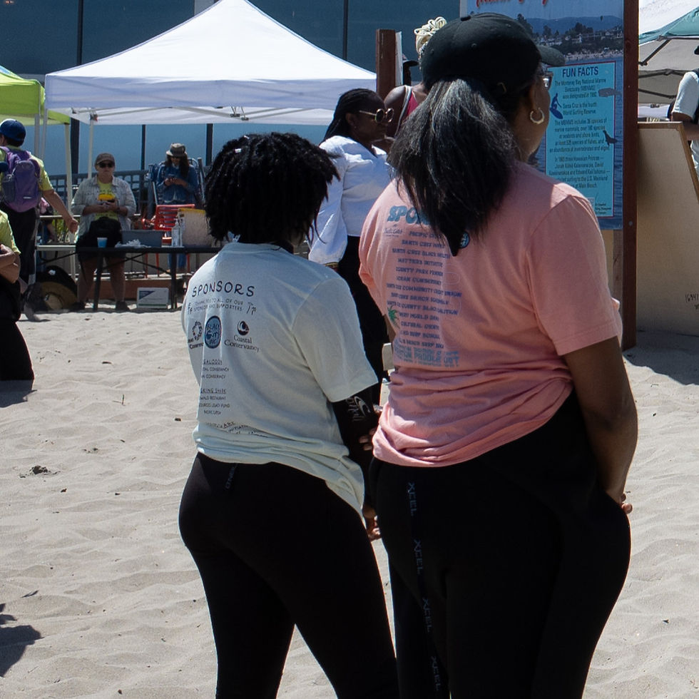Thumbnail: Liberation Paddle Out 2024 T-Shirts