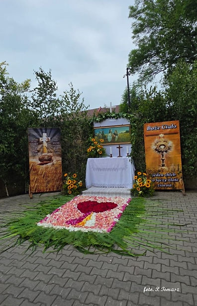 P.Tomasz_2025.06.19-pKam1.jpeg