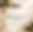 IMG_3205.jpeg