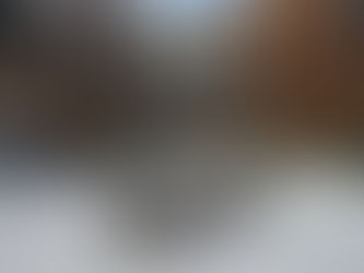 First look: Korman does 'something special' with its $285M AVE Navy Yard apartments