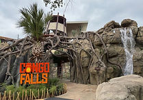 San Antonio Congo Falls.jfif