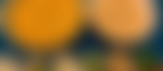 Chicken Khow Suey- a bowlful of happiness