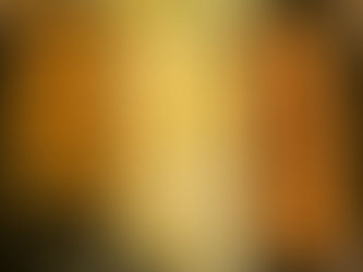 Chicken Chelo Kebabs (with a twist)